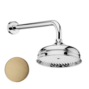 Верхний душ Webert AC0014065, бронза
