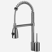 С ВЫДВИЖНЫМ ИЗЛИВОМ